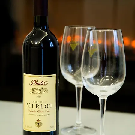 Exclusive And Apartment *